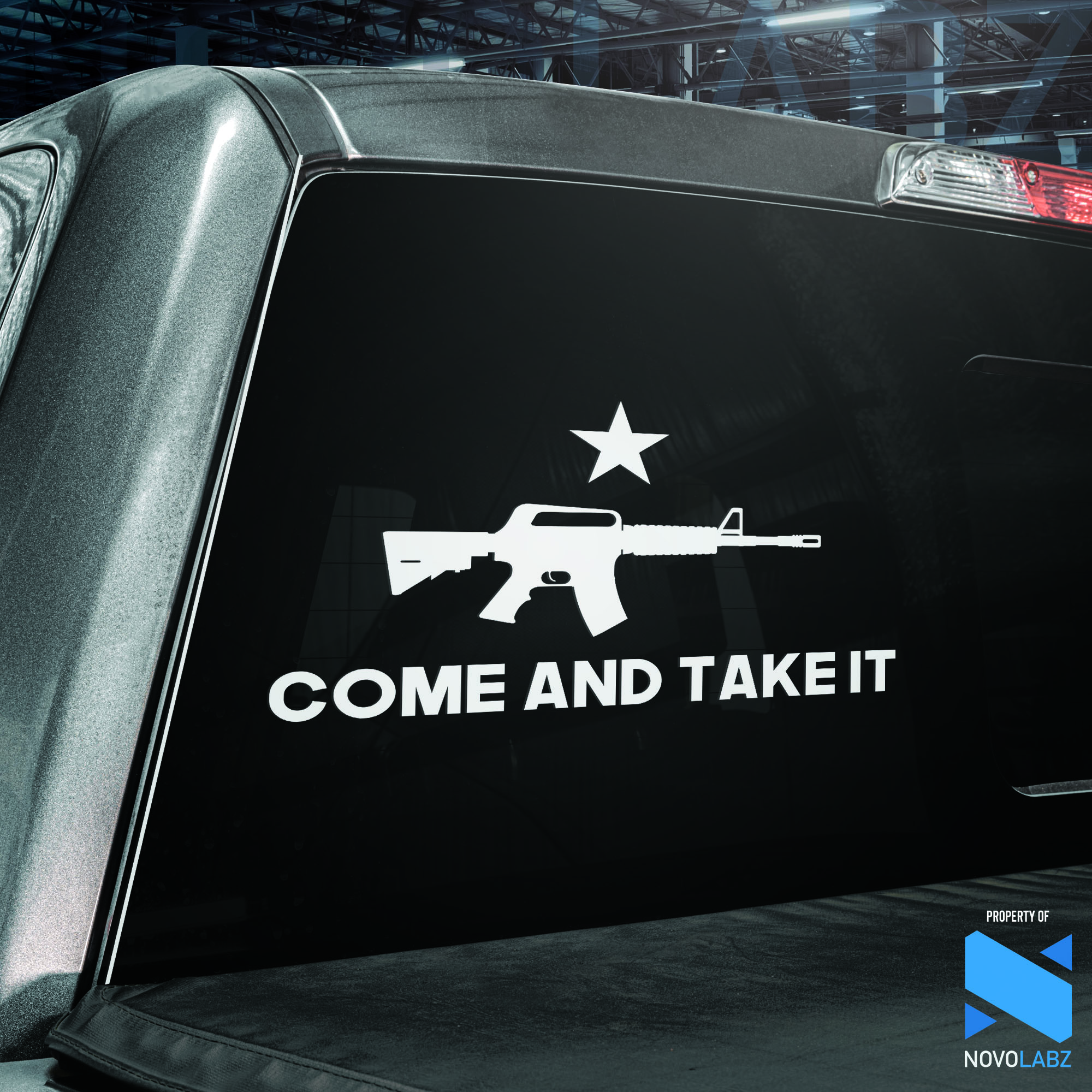 Come and Take It Vinyl Decal