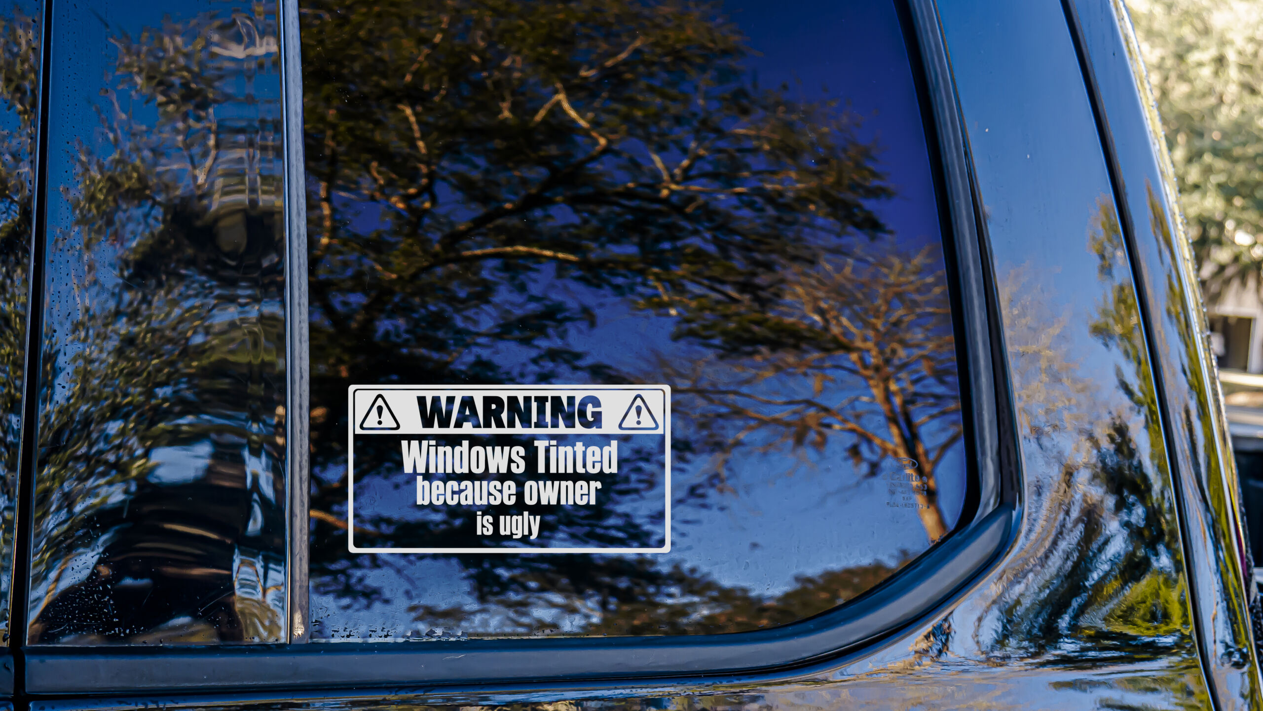 Warning Tinted Windows Vinyl Decal